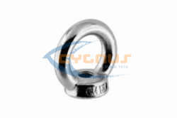 Stainless Steel M10 Lifting Eye Nut